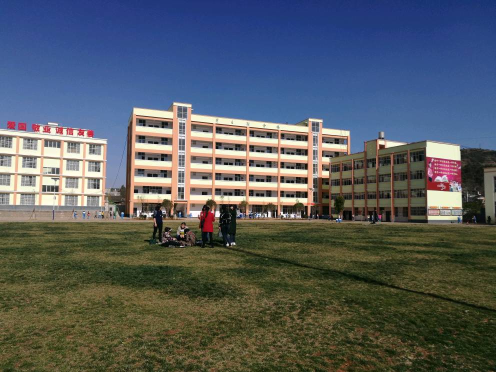 龙场镇中心小学成立于2015年7月,是在原龙场二中校址上科学规划